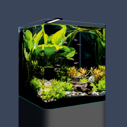 Dennerle Nano Cube Basic 60lt - Μικρά < 60 lt