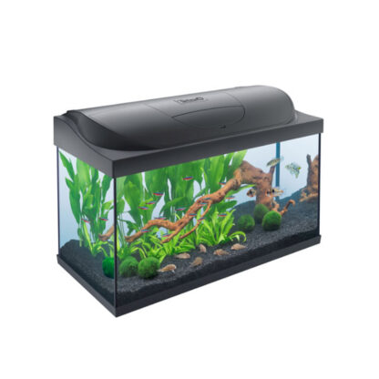 Tetra Starter Line Tank LED Black 105lt - Μικρά < 60 lt