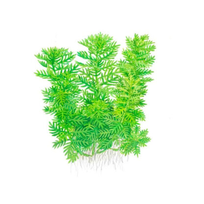 Tropica Hottonia palustris 1-2-Grow! - Φυτά για Ενυδρεία