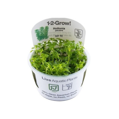 Tropica Hottonia palustris 1-2-Grow! - Φυτά για Ενυδρεία