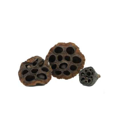 Nature4Pets Lotus pods 3pcs - Πρόσθετα