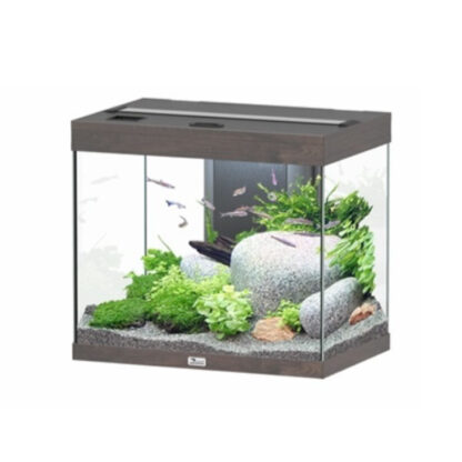 Aquatlantis Splendid Ultra Aquarium Anthracite Grey Matte 60x40x56 109lt - Mεσαία