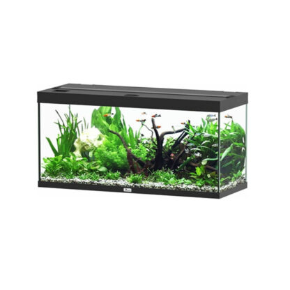 Aquatlantis Splendid Ultra Aquarium Black 100x40x61 202lt - Mεσαία