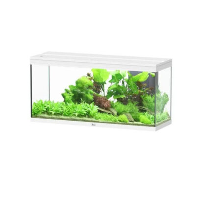 Aquatlantis Splendid Ultra Aquarium White 100x40x61 202lt - Mεσαία