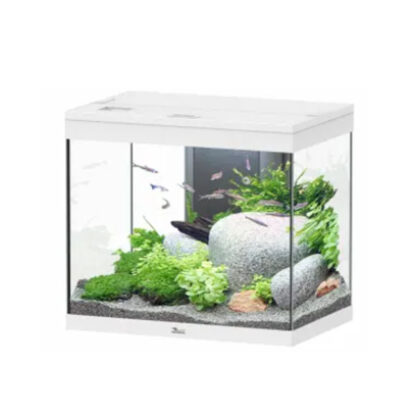 Aquatlantis Splendid Ultra Aquarium White 60x40x56 109lt - Mεσαία