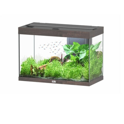 Aquatlantis Splendid Ultra Aquarium Anthracite Grey Matte 80x40x56 146lt - Mεσαία