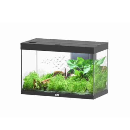 Aquatlantis Splendid Ultra Aquarium Black 80x40x56 146lt - Mεσαία