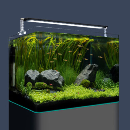 Dennerle Nano Tank Plant Pro 70lt - Mεσαία