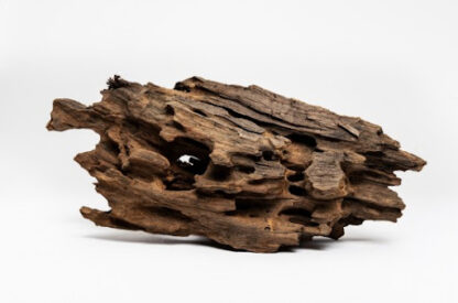 Aquadeco Dragon Wood S 0.1-0.25 // per piece - Ξύλα