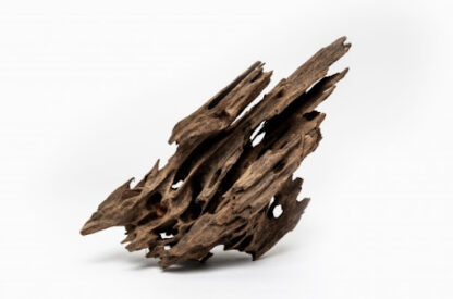 Aquadeco Dragon Wood M 0.35-0.6 // per piece - Ξύλα