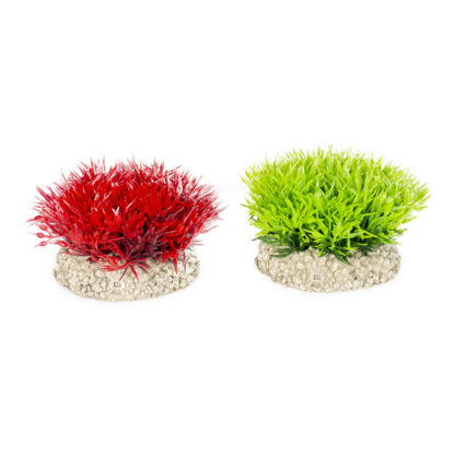 Aqua Della Plant Wort Moss S 5cm - Τεχνητά Διακοσμητικά