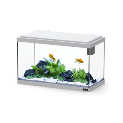 Aquatlantis Explorer Vienna Aquarium Grey 34lt - Μικρά < 60 lt