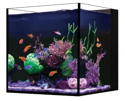 Red Sea Desktop Cube tank - Mεσαία