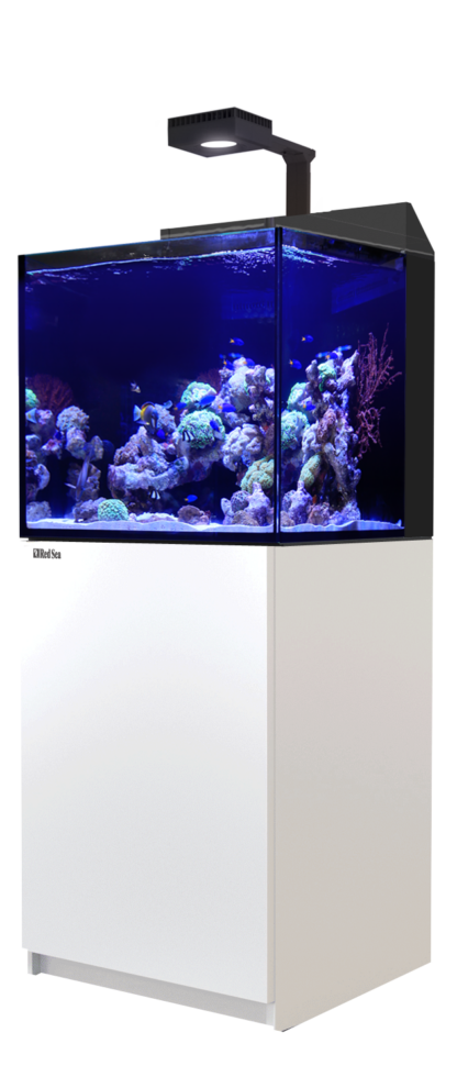 Red Sea MAX® E – 170 LED (with ReefLED) – White - Mεσαία