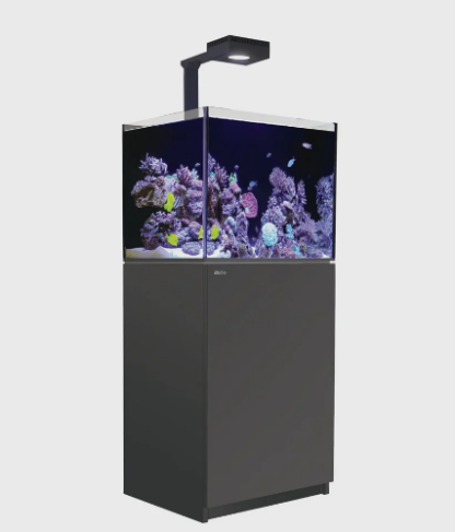 Red Sea REEFER™ 170 G2+ Deluxe  System – Black (incl.1 x RL 90 & Mount arm) - Mεσαία