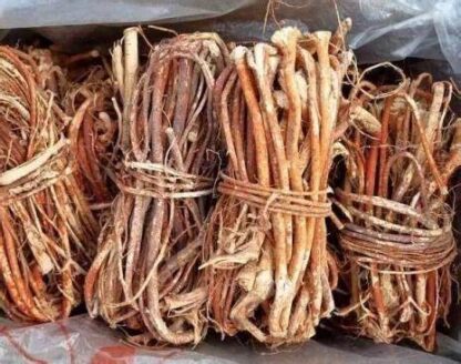 Single Branch Roots 100gr per bag - Ξύλα