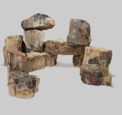 Wooden Fossil Stone 0.1-10kg price per kilo - Πέτρες - Βότσαλα